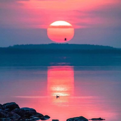 13mimi69's profile picture. 