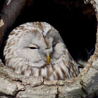 Kamui47241587's profile picture. 