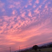 ゆき (@axpal_p) 's Twitter Profile