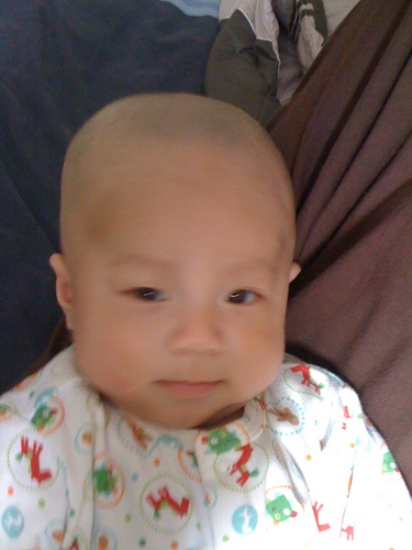 weipinggu's profile picture. 