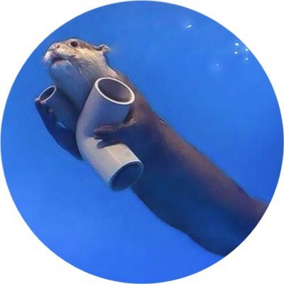 Borderline trash opinions and shitposts from a woman pretending to be an otter on the internet. 🚀
