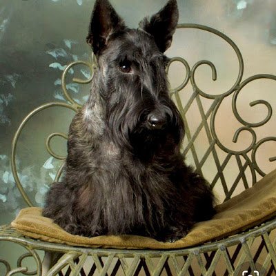 MarianneRitch16's profile picture. 