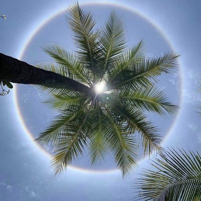 Sonukumar906's profile picture. Learner, Metabolomics, R