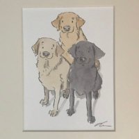 FG&H Hall (@tshall70) 's Twitter Profile