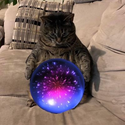 bostaffguy's profile picture. 