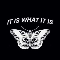drafts (@drafts95452567) 's Twitter Profile Photo drafts (@drafts95452567) 's Twitter Profile Photo