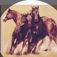 شارت. (@swkhbr) 's Twitter Profile