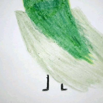 KleinesRicarda's profile picture. 