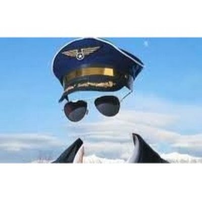Administrador, Aviação Real e Virtual. De direita e Patriota! 🇧🇷🇧🇷