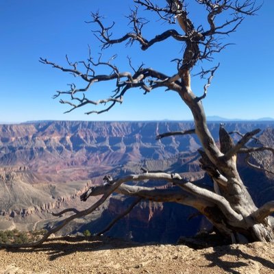 roserae0325's profile picture. 