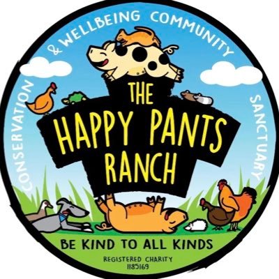 Around 200 animals live here on The Happy Pants Ranch - a little sanctuary for animals that were abandoned, given up or rehomed by their previous owners.