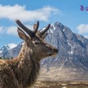 Greg Fleming - @GregFle04034066 - Twitter