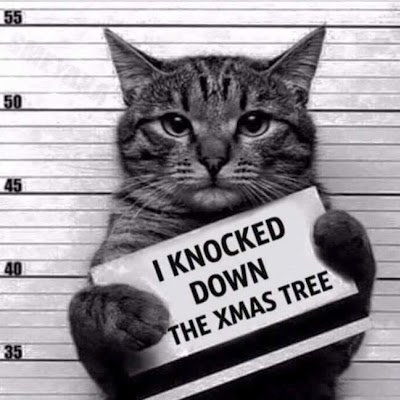 OhCarolOhCarol's profile picture. I'm blonde but not idiot!