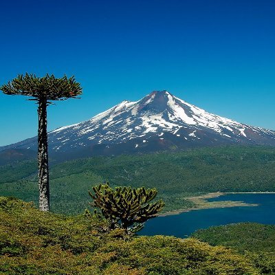 Departamento de Salud Pública_UFRO Profile