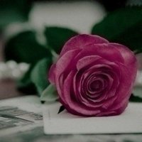 Mrim (@mrim15848639) Twitter profile photo