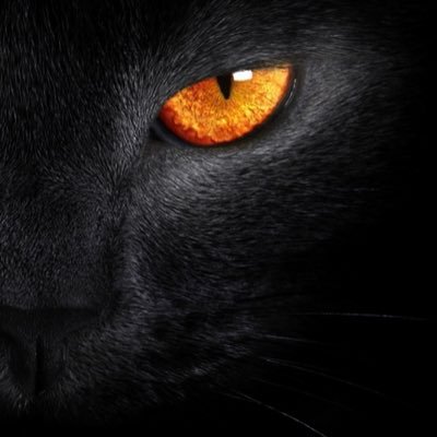 JukkaS8's profile picture. DYOR #BTC #ETH #SAITA #SHIB