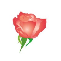 Donnalee (@donnaleemystuff) 's Twitter Profile