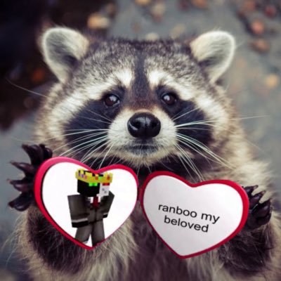 ranboo as raccoons daily !! 🦝