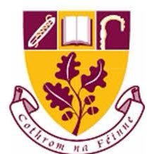 St. Farnan’s PPS, Prosperous Profile