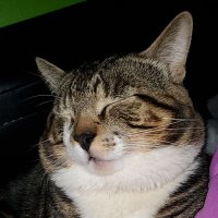 #DefendDaca (@angel_table) 's Twitter Profile Photo