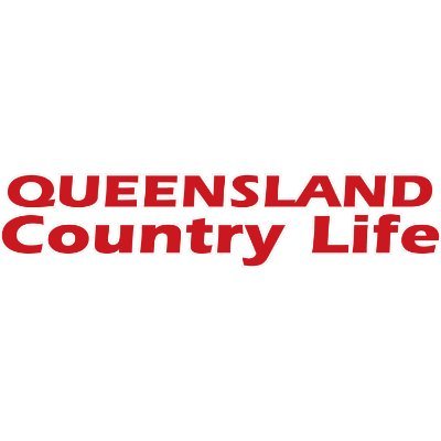 qclnews Profile Picture