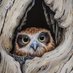 owllwo (@mmattu108) Twitter profile photo owllwo (@mmattu108) Twitter profile photo