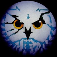 Jonathan Ellis ππͺπΊπ¬π§π΄σ §σ ’σ ·σ ¬σ ³σ ΏπͺπΈποΈ (@sillemj) 's Twitter Profile