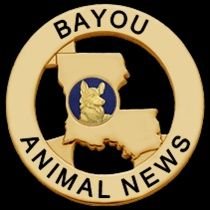 Published Author Investigative Journalist Animal Rescuer