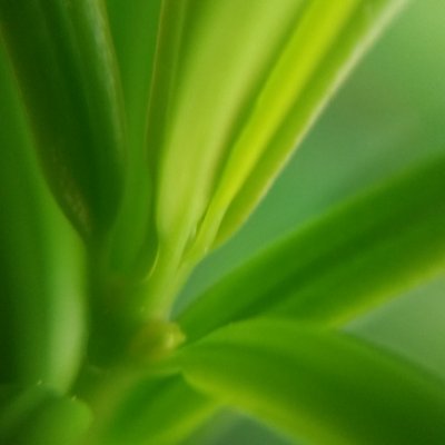 N8iveAl1enArt's profile picture. NFT artist on
https://t.co/OImmnz2XtU
https://t.co/tYD86ofomu