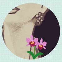 まい2🌸🌸 📕 「海外ドラマ世界一簡単聞き取り法一日30秒シーンで (@mai2no85mak) Twitter profile photo