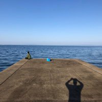 cazooooo16 (@cazoooo16) Twitter profile photo