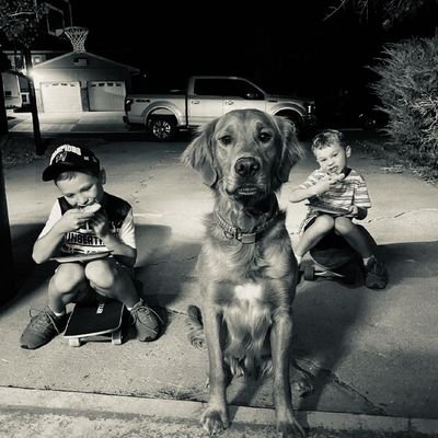 Destes1423's profile picture. 