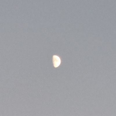 gimjiu73932651's profile picture. 