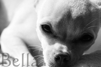 melodie0's profile picture. 