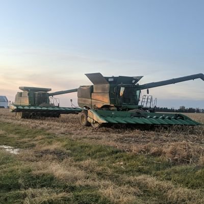 Grain & Livestock Farmer.