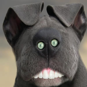 GSClark's profile picture. A bing, a bong and a wibble or two! Thing, is I think I'm the sensible one!