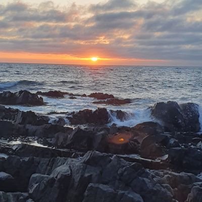 cm_cl's profile picture. Ingeniero Comercial y Contador Auditor, ciclista por hobby