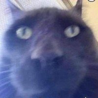 simple (@_simpleton27) 's Twitter Profile Photo