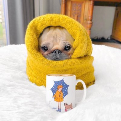 breathe_ofdeath's profile picture. 