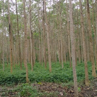 joecox08's profile picture. Activo 👌