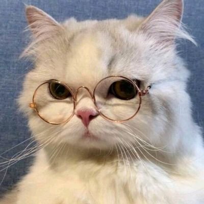 Semua thread tentang racun belanja, and daily needs
|| Yang mau penghasilan tambahan klik link 👉👉 https://t.co/dLiFb77ksv atau DM 📩