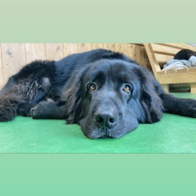 mitue44902031's profile picture. 