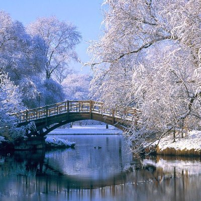 broturk04's profile picture. #Ftm, #doge #stepn lover.