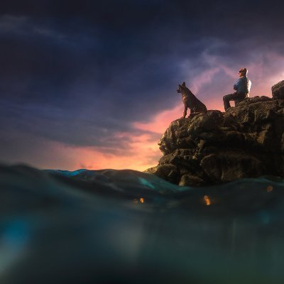 liuhanqing3's profile picture. 