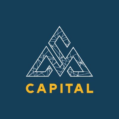MS Capital est votre agence web de renom. Nous sommes spécialisées en marketing digital : création de sites web, référencement, community management...