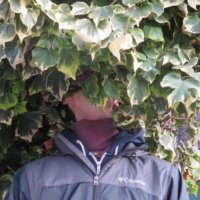 esteban @ GDC (@estebanthinks) 's Twitter Profile