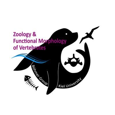 Zoology & Functional Morphology of Vertebrates @kieluni 🇩🇪🇪🇺 | Lead by Prof. Böhmer @VertEvo | Research group | Forschungsgruppe 🦈🦖🦎🐢🐊🦩🦥🐿️🦒🐎🐅🦧🐬