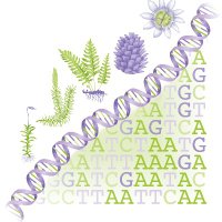 Evolution of Plant Sexual Reproduction (@dfg_icips) 's Twitter Profile Photo Evolution of Plant Sexual Reproduction (@dfg_icips) 's Twitter Profile Photo