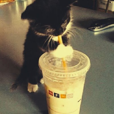 noxmoze's profile picture. salut