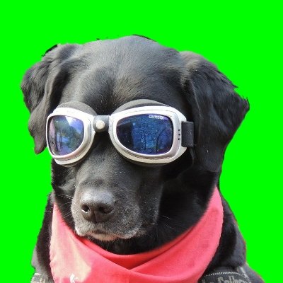 ジャッキー@相互フォロー【昭和&平成のオールドカー評論家